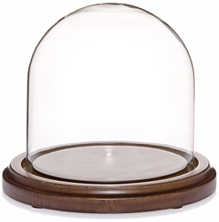 glass dome wood base