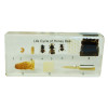 Acrylic block, Bee, Life cycle of the Honey bee set in Acrylic Resin