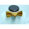 Whimsical Cane Toad Bow Ties