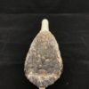 Armadillo skull with skullcap