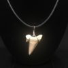 Fossilized shark tooth pendant