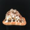 fiber conch sea shell