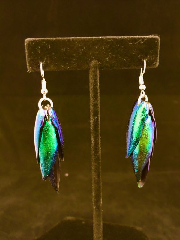 real jewel beetle earrings