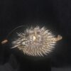 Hanging puffer fish specimen