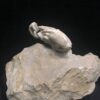 fossilized crab from Italy