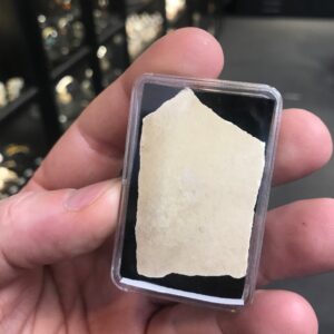 Eleohant bird eggshell fragment