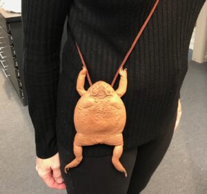 Marvelous cane toad purse