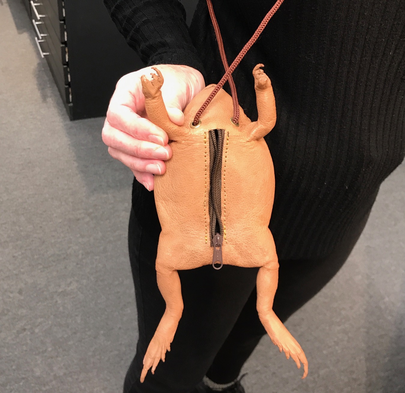 Frog purse