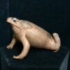 Taxidermy cane toad specimen