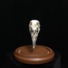 pheasant skull in dome