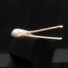 Gar skull real bone