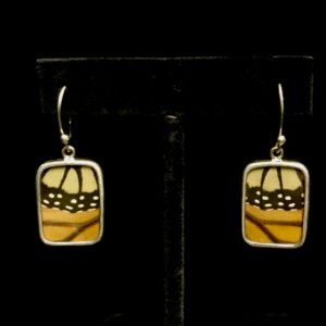 Real monarch wing earrings