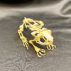 Genuine Fanged frog skeleton