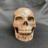 carved fossilized wood skull