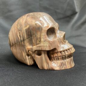 carved fossilized wood skull