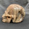 carved fossilized wood skull