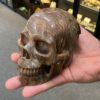 carved fossilized wood skull