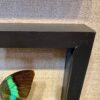 peruvian butterfly frame details