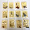 amazing fossil collection kit