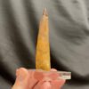 mounted spinosaurus tooth