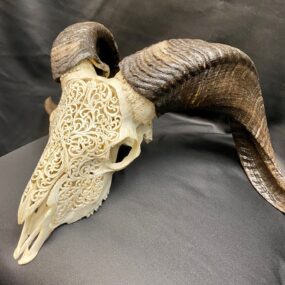 carved ram skull