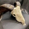 carved ram skull