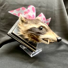 raccoon mount on base