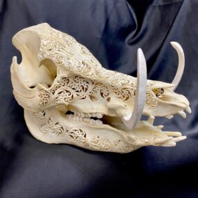 carved wart hog skull