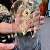 frog skeleton in dome