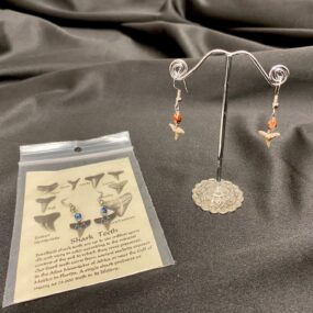 fossil shark tooth earrings