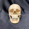 hand carved wooden skull