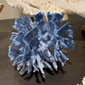 beautiful blue coral specimen