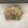 Authentic triceratops bone chunk