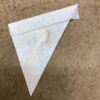 Actias truncatipennis, Mexican Luna moth, Papered specimen