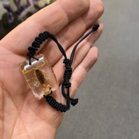 Golden scorpion necklace (3)