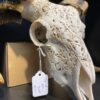 Ram skull carved