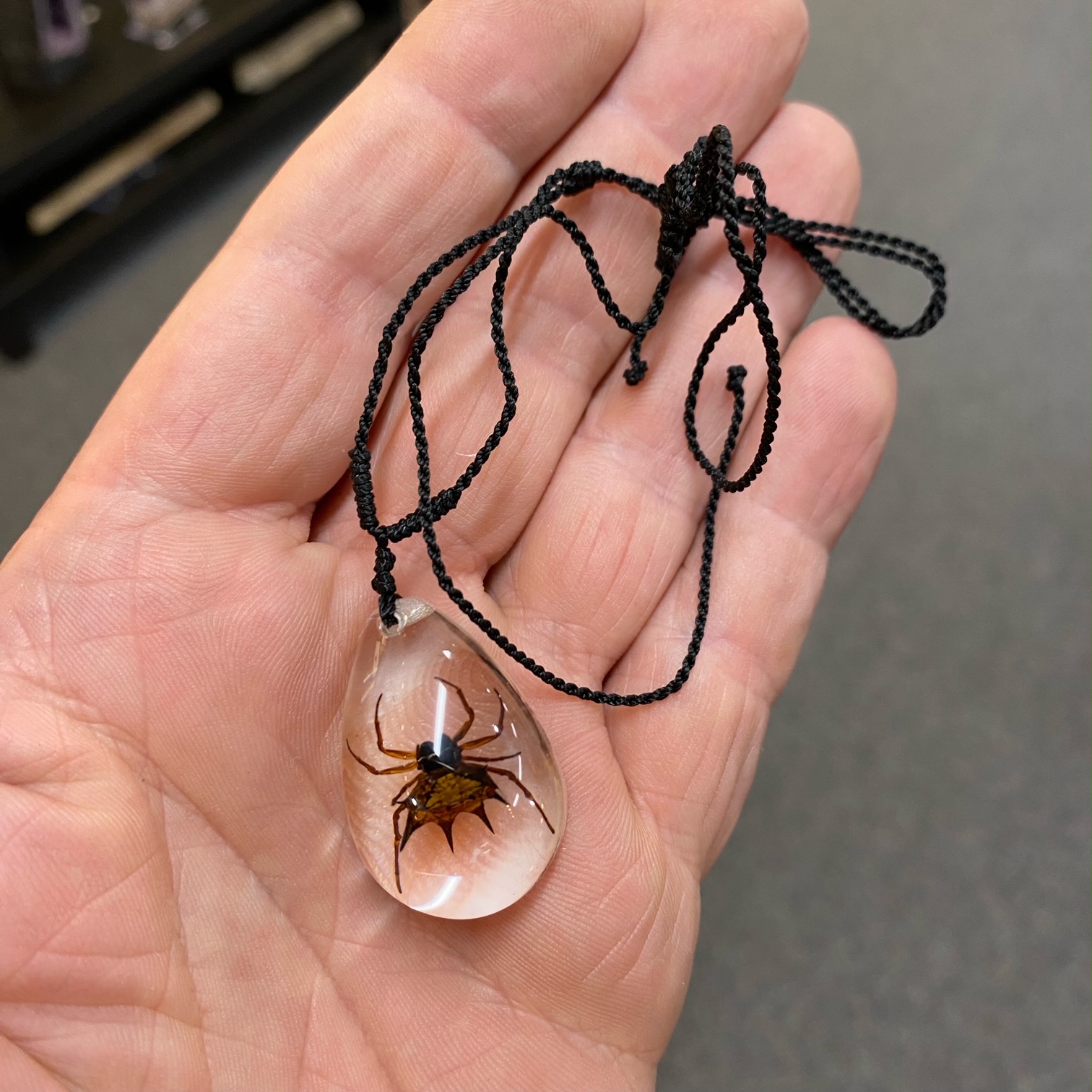Acrylic block necklace with a real Spider Spiny spider n tur showroom Museum quality insects butterflies and natural history collectibles artifacts and gifts